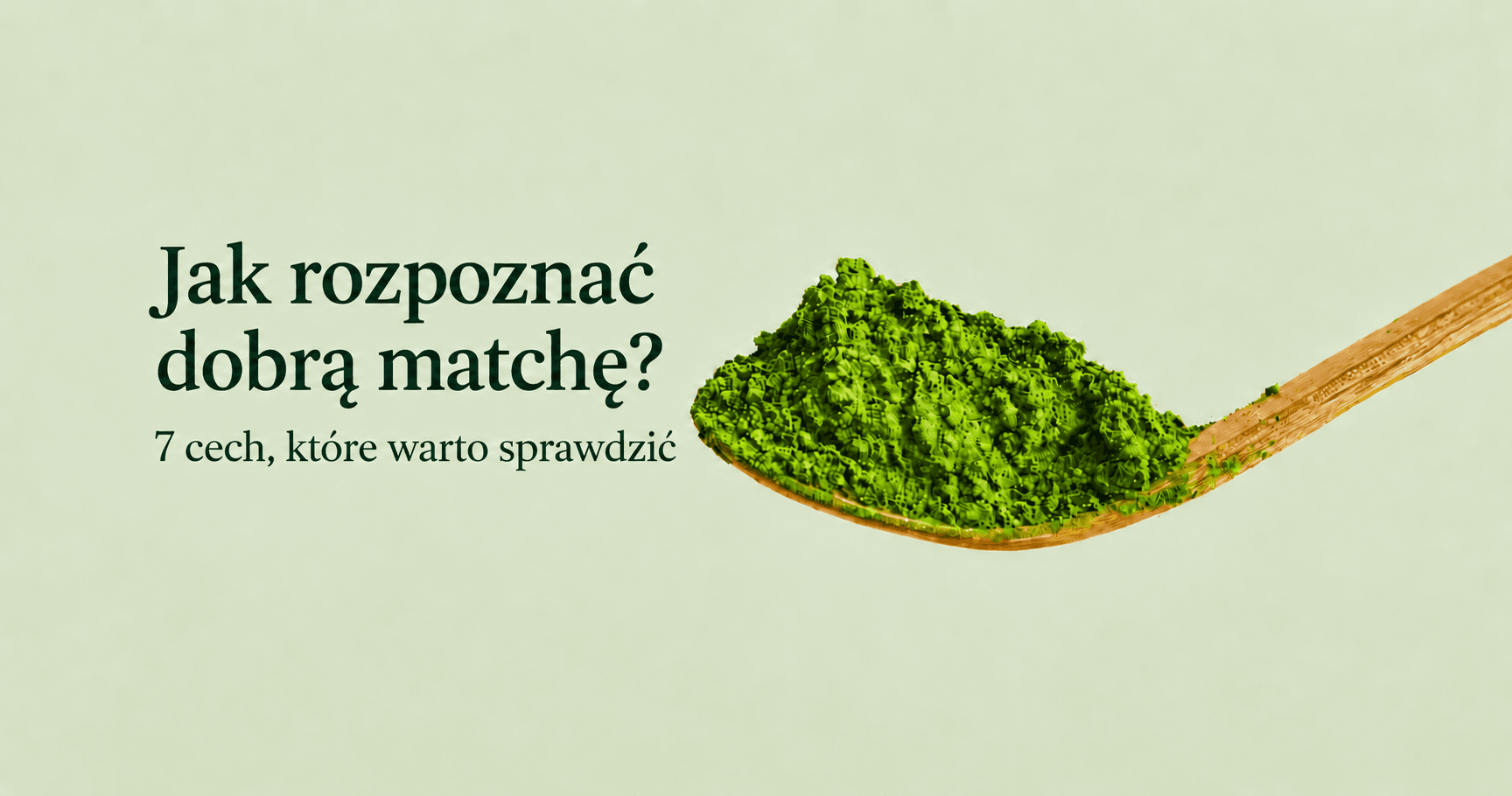 7 Cech dobrej matchy