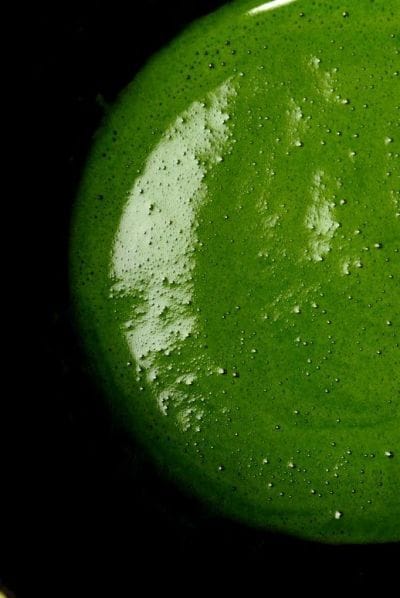 SAYO Dobra Matcha